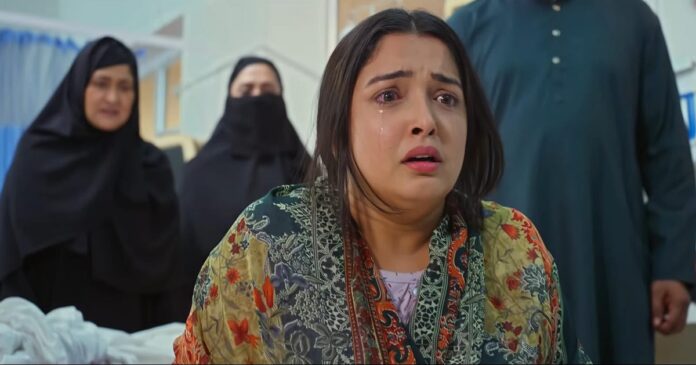 आम्रपाली दुबे की फिल्म ‘रोजा’ का ट्रेलर रिलीज, संघर्ष करती महिला के किरदार में आएंगी नजर।
