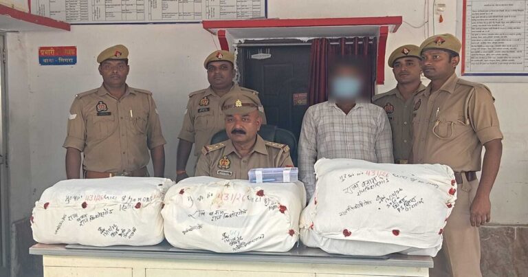 वाराणसी के सिगरा थाना क्षेत्र में 31.275 किलो गांजा बरामद, एक आरोपी गिरफ्तार।