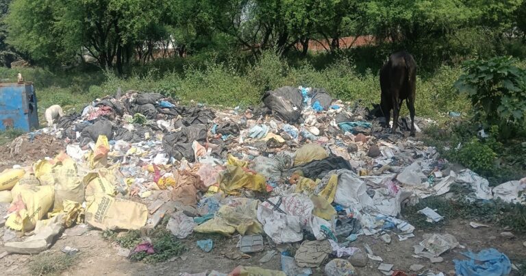 सीर गोवर्धनपुर वार्ड 23 में मुख्य मार्ग के किनारे पड़े कचरे की जांच और सुरक्षित निस्तारण की मांग।